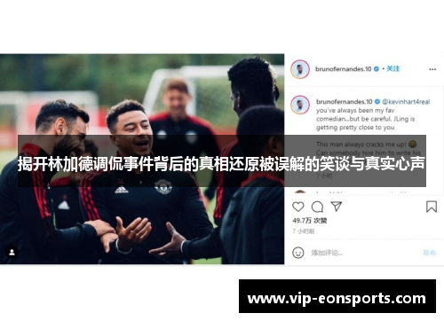 揭开林加德调侃事件背后的真相还原被误解的笑谈与真实心声