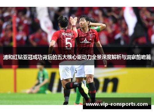 浦和红钻亚冠成功背后的五大核心驱动力全景深度解析与洞察前瞻篇