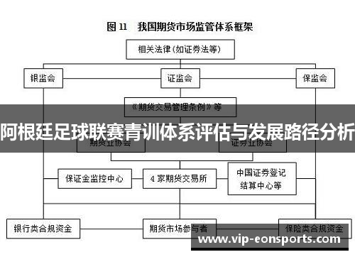 阿根廷足球联赛青训体系评估与发展路径分析