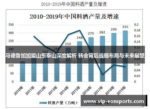 马德鲁加加盟山东泰山深度解析 转会背后战略布局与未来展望